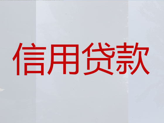 山南市抵押担保贷款-银行信用贷款